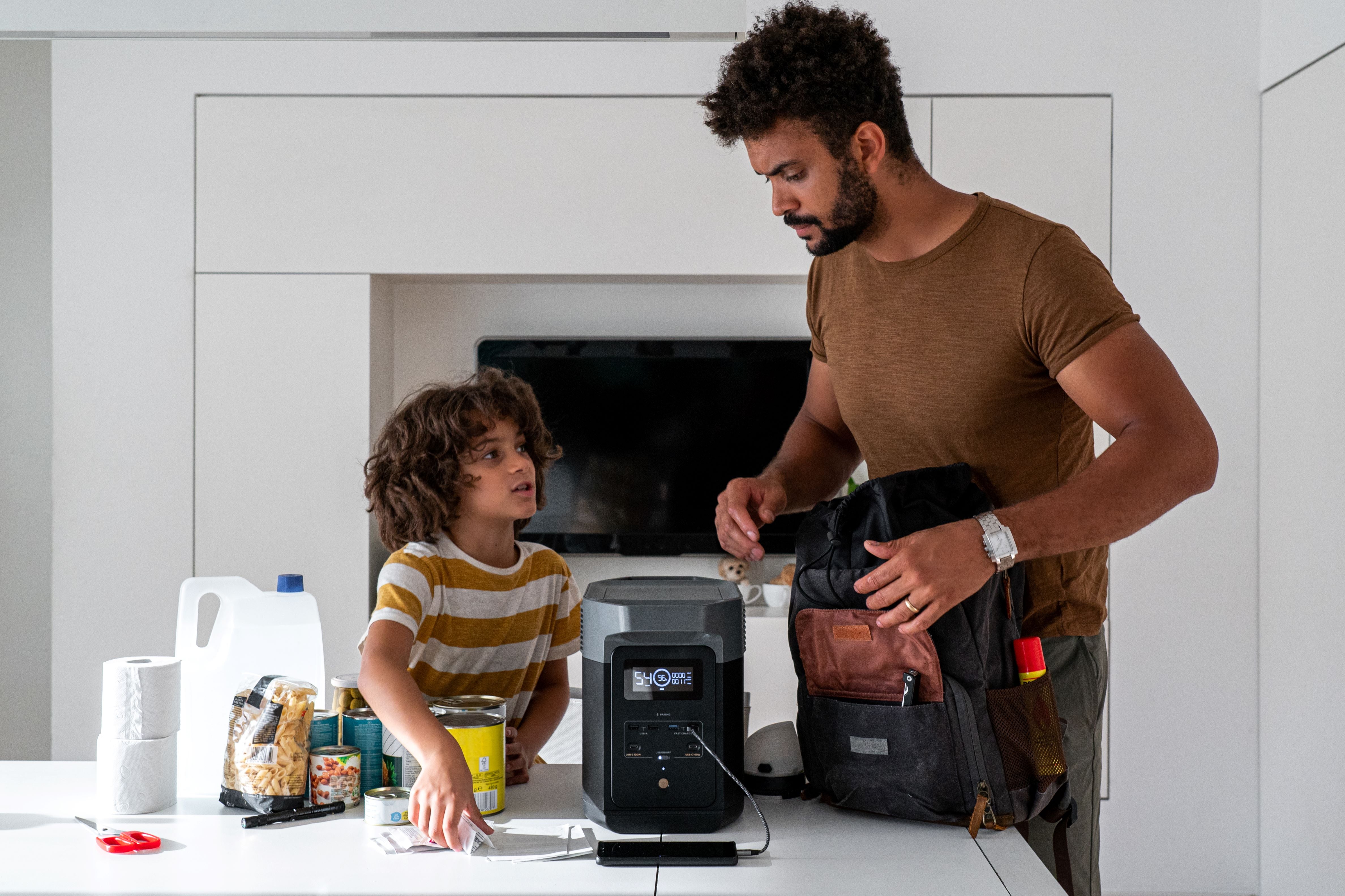 EcoFlow DELTA 2 Portable Power Station